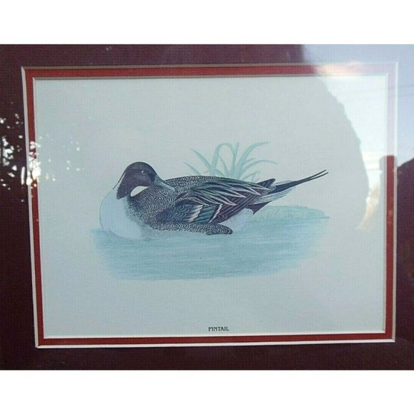 Vintage FIGI Giftware "Pintail" Print of a Duck in the Water Framed and Matted - Picture 3 of 4